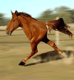 lolzpicx:   Has science gone too far 