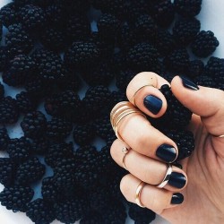 love blackberries