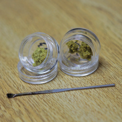 smokeyshawaii:  Are You Ready To CRUMBLE!!!!! 