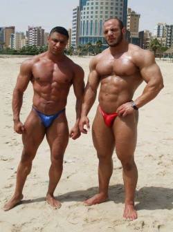I can only dream about seeing these two handsome, sexy, muscular