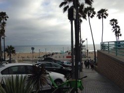 Currently at Manhattan Beach for a business dinner. Man, this