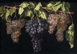 virurso773:  Juan Fernandez “Four Clusters of Grapes” c.1636