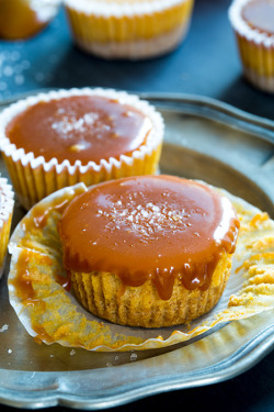 sweetoothgirl:  Pumpkin Cheesecake Cupcakes with Salted Caramel