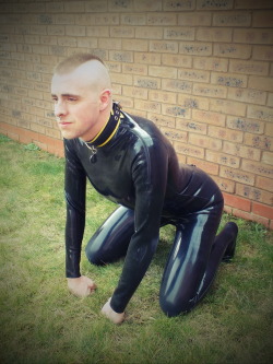 giftedmaster:  giftedmaster:  gayperverts:  In memory of my pup