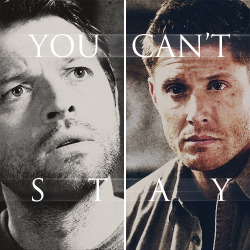 indeedisayexquisite:  Dean you know I always appreciate our talks.