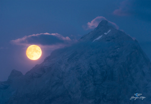 just–space:  A Blue Hour Full Moon : Nature photographers