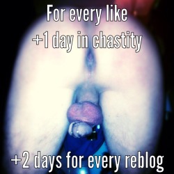farmgrown22:  frenchlockedman:  For every like  1day in chastity