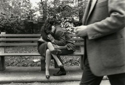  Stephen Salmieri - Central Park, 1981.   amo