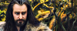 durinswizardwheezes:  #i imagined thorin would say something