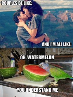 srsfunny:  Couples be like…http://srsfunny.tumblr.com/ 