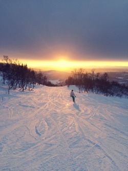 whenpoetsbleed:  Skiing | Norway