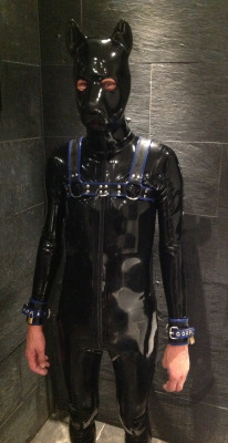 pupbolt:  Pupped up for the day, paws next *wruffs*
