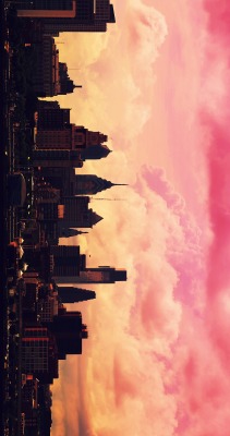 photographyofdavidhanjani:  It’s Always Pink In Philadelphia.