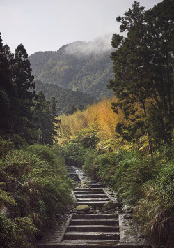 travelingcolors:  Fall in Taiwan (by Nina Myers) 