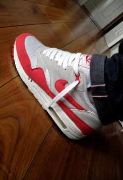 Air Max 1 Enthusiasts