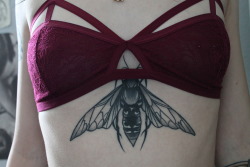 retr1but1on:  lunariums:  New bra that I’m obsessed with and