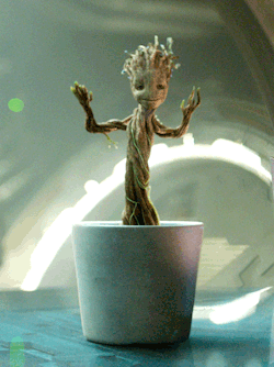 riddlemethis13:Because everyone needs a dancing groot on their