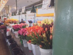 d-etourner:  pike place tulips, 9 april 2015