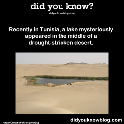 did-you-kno:  Recently in Tunisia, a lake mysteriously appeared