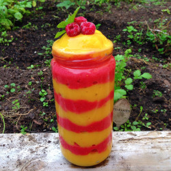 beautifulpicturesofhealthyfood:  Raspberry Mango Magic SmoothieChoc