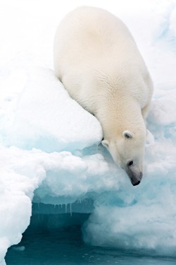 r2–d2:  Arctic composition by ( Marco Gaiotti) 