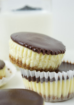 foodiebliss:  Mini Cheesecakes with Milk + Dark Chocolate Ganache
