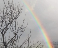 lonesnow:the prettiest rainbow i’ve seen in awhile!