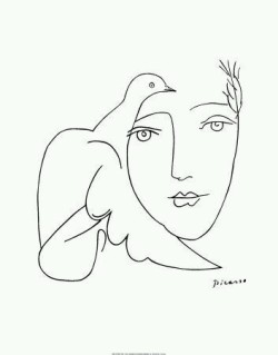 bacteriia:  Pablo Picasso’s Line drawings  