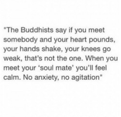 purplebuddhaproject:  http://ift.tt/1Jm6MD9 