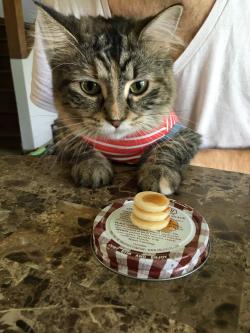 awwww-cute:  Bean joined my wife and I for pancakes this morning.