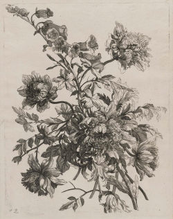 heaveninawildflower:  ‘Bouquet with Peonies’ (circa 1640–86)