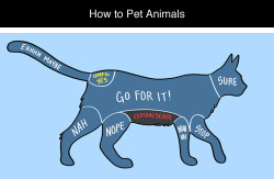 death-by-lulz:  How to Pet Animals by Adam Ellis 