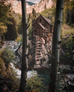 rustic-bones:  “The most beautiful thing we can experience
