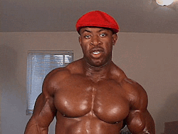 meatball256:  oofahpapa:   http://oofahpapa.tumblr.com/archive