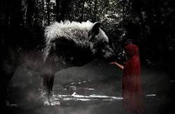 voodooprincessrn:  Red and her wolf