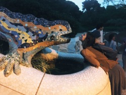 jordanlehn:  I made @kyotocat take a less traditional image with the iguana at the park gÃ¼ell. 