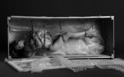 I'm His Bound Butterfly