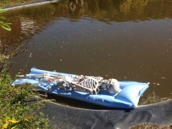 communistbakery:  skeleton taking a break from the tiring skeleton