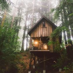 Our little cabin is always waiting for us…..  Where we go and