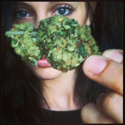 theganjagirls:  New Pic From @hippyganjagypsy Source: http://instagram.com/p/oJLLhBqi5P/Ganja