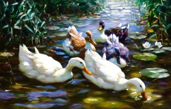 art-nimals:  Alexander Koester (1864 - 1932), Five Ducks, oil