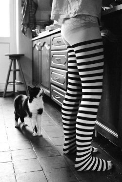 Two kitties
