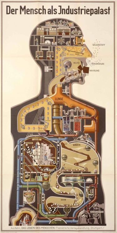 Der Mensch Als Industriepalast by Fritz Kahn 1927 Nudes &