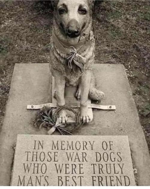 blondebrainpower:War Dog Memorial Located in Barrington New Hampshire