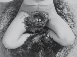 Birgit Jürgenssen, Nest 1979