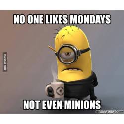 At least it’s a short week, but still. 🍌 #mondayssuck