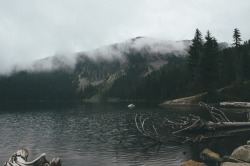 snuffair:  eurd:  tannerseablom:  Mowich lake, Washington.  X