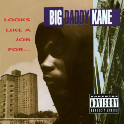 20 YEARS AGO TODAY |5/25/93| Big Daddy Kane released his fifth