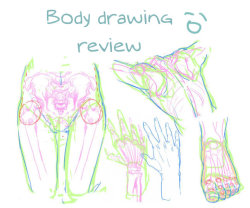 losthitsu:  Body drawing review - translated version. 