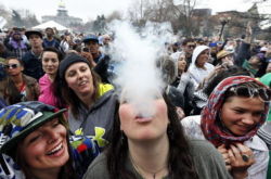 weedporndaily:  Campaign to legalize marijuana use in Ohio quietly